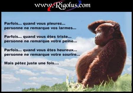 mdr
